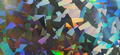 HOLOGRAPHIC COATED FABRIC